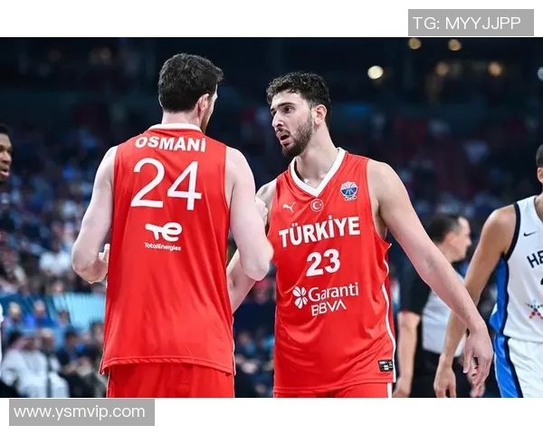 欧洲杯预选赛土耳其对法国的精彩对决及最终比分分析